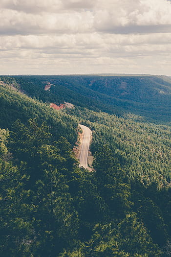 aerial, view, pine trees, road, daytime, grey, concrete, trees, nature, landscape, plains