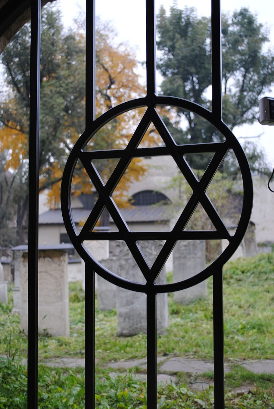 cemetery, jew, memorial, jewish cemetery, david's star
