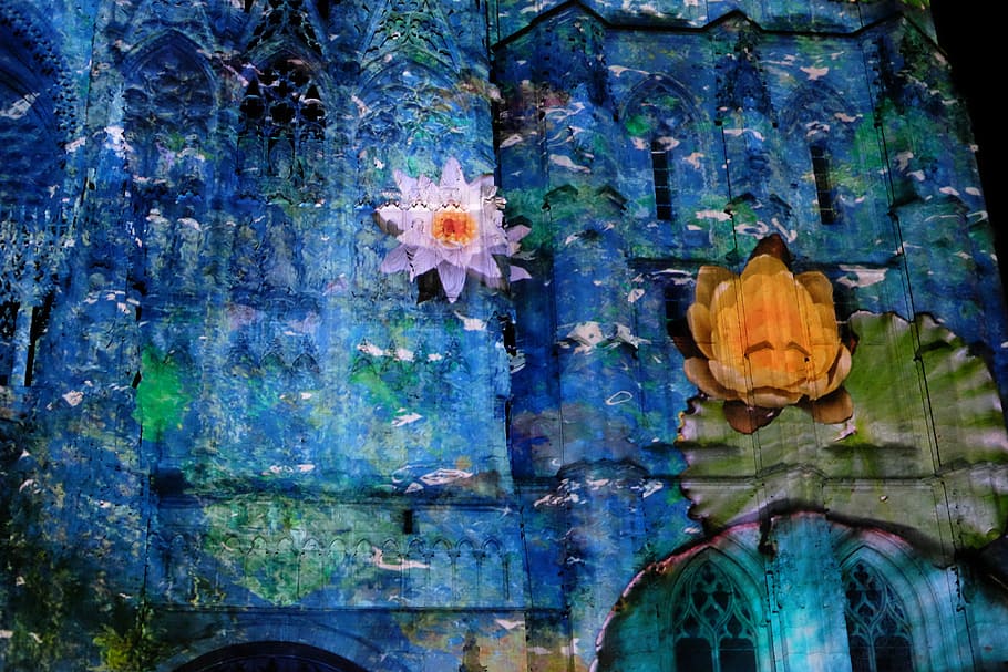 Rouen, Cathedral, France, Building, Show, rouen, cathedral, nocturne, flower, day, window, outdoors