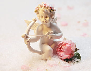 selektivní, zaostřovací fotografie, bílý, figurka mramorové cupid, růžový, růže, cherubín, keramický, figurka, růžová růže, anděl lásky