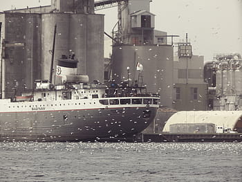 grau, Weiß, Schiff, neben, Gebäude, tagsüber, Ladung, Hafen, Boote, Schiffe, Wasser