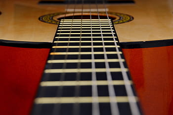 corde di chitarra, stringhe, chitarra, vario, musica, strumento musicale, tastiera, suono, stringa di strumenti musicali, chitarra acustica, strumento a corda