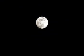 moon on sky, sky, night, full, moon, white, black, moon Surface, full Moon, astronomy, planetary Moon