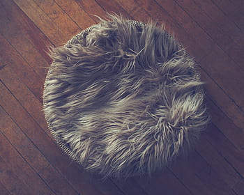 newborn bed, newborn nest, newborn backdrop, newborn background, wood floor, bowl, fur, bed, baby