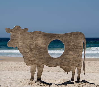cow, silhouette, hole, sculpture, art, contemporary, modern, beach, sea, surf, australia