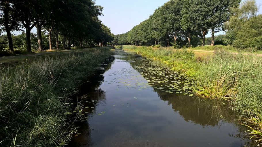 almelo nordhorn kanál, kanál, voda, holandský, řeka, twente, overijssel, Příroda, rybník, avenue, stromy
