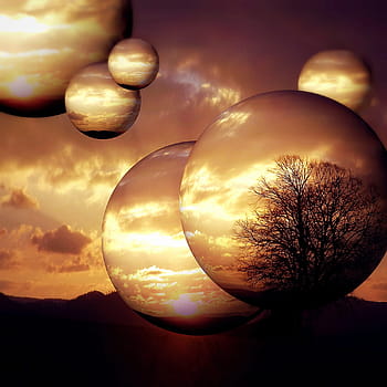 albero, dentro, foto illusione sfera, pianeta, palla, Luna, d'oro, tramonto, Alba, illuminazione, cielo serale