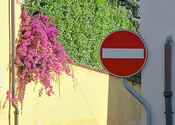 stop, sign, street, europe, road, traffic, symbol, warning, city, european, flowers