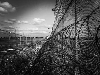 grayscale cyclone wire fence, prison fence, razor ribbon, wire, metal, fence, barbed, barb, prison, spikes, barbwire