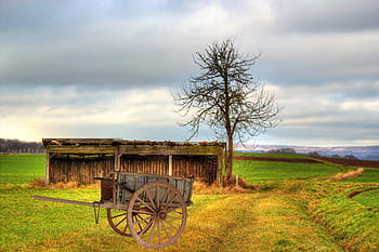 vozík, dřevěné auto, stupnice, louka, mraky, nebe, tažné zařízení, odváží se, ruční vozík, nostalgie, doprava