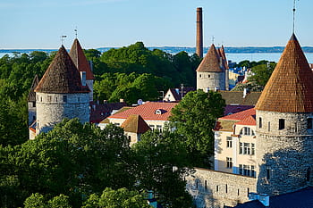 bílý, Černá, cihlový dům, obklopen, zelená, listoval, stromy, během dne, Estonsko, tallinn, reval