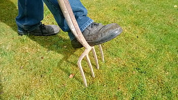 person, stepping, lawn rake, garden, fork, lawn, lawn maintenance, gardening, green, equipment, work