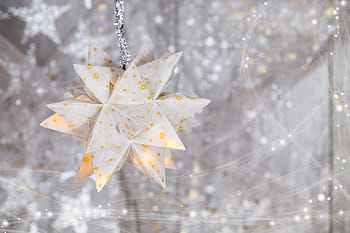 shallow, focus photography, white, orange, flower decor, christmas, christmas time, christmas decoration, christmas decorations, advent, advent jewelry