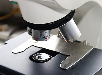 avvicinamento, foto, microscopio, aumenta, laboratorio, scienza, ricerca, biologia, nessuno, ricerca medica, vetrino da microscopio