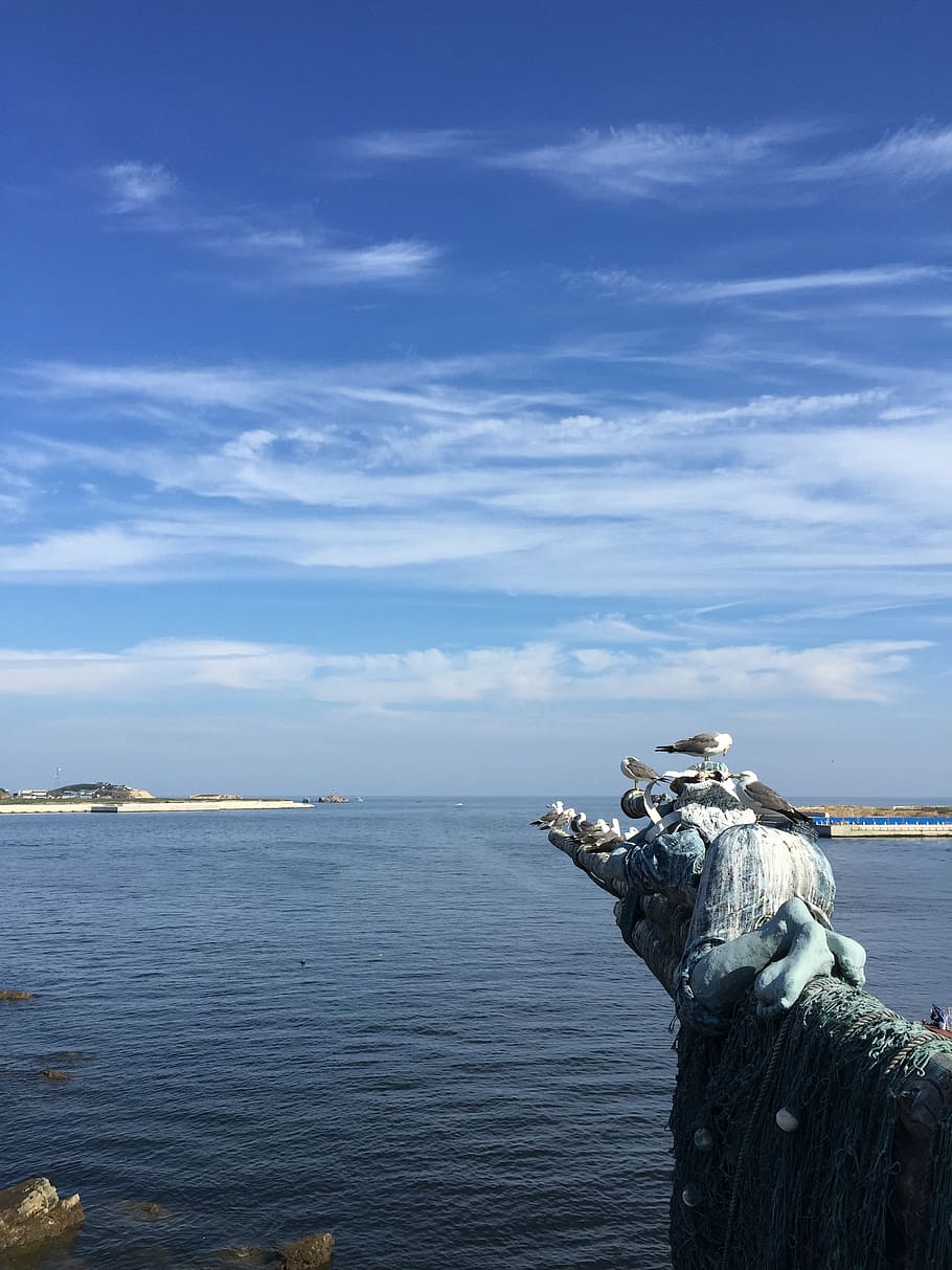 beach, blue sky and white clouds, the sea, tiger beach ocean park, dalian, sea, nature