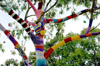 green, tree, daytime, yarn bomb, guerrilla knitting, graffiti, street art, knitter, stitches, yarn bombing, yarn