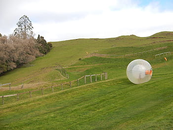 zorb ball, green, grass field, Zorb, Zorbing, Rolling, Downhill, Sphere, rolling downhill, plastic, fun