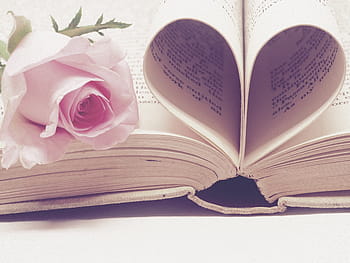 отворен, Книга, сърдечна страница, литература, книги, страница, хартия, обичам, романтика, Свети Валентин, реколта