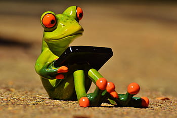 green, frog, holding, case, computer, funny, fun, frog eyes, sweet, cute, figure