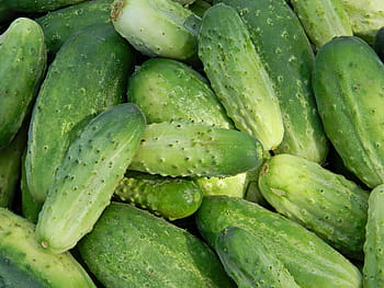 okurky, zahrada, čerstvý, zelená, zdravé jídlo, kuchařka, sbírka, mizeria, zelená barva, jídlo a pití, jídlo