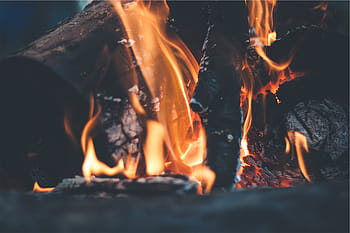 táborák, zavřít, fotografování, oheň, plameny, dřevo, protokoly, plamen, požár - přírodní jev, hořící, teplota - teplota