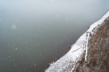 untitled, sneeuw, winter, wit, koude, weer, ijs-, bomen, planten, natuur, water