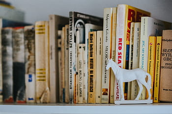 estante, libros, lectura, revista, estantería, biblioteca, literatura, anticuado