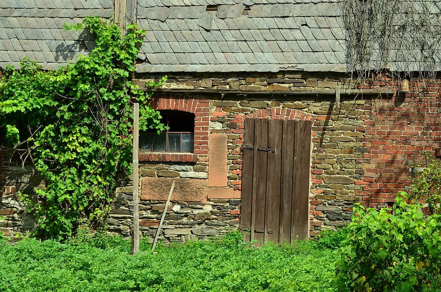 hnědý, dřevěný, dveře, šedá, beton, zeď, statek, hospodařit, stodola, budova, starý statek