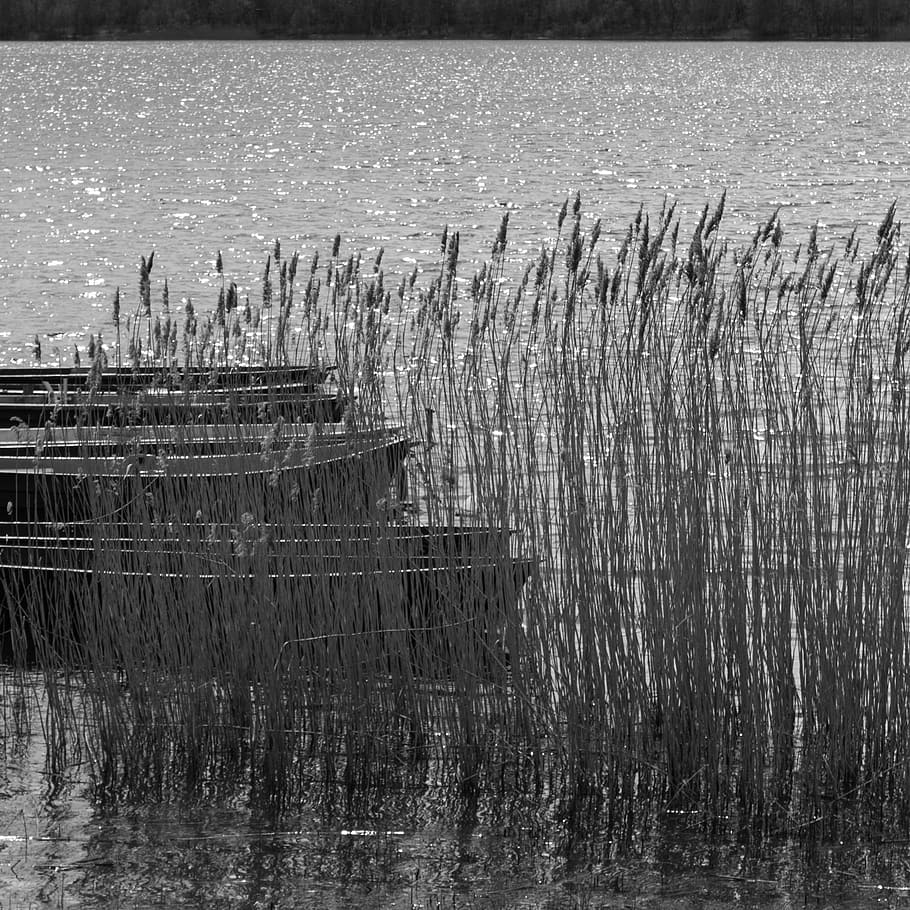 Stiefel, See, Wasser, Hafen, Landschaft, Netz, Natur, Bank, Anlegesteg, Segelboot, Schilf