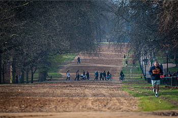lidé, silnice, borovice, během dne, muž, nošení, Černá, oranžový, mikina, park, běžec