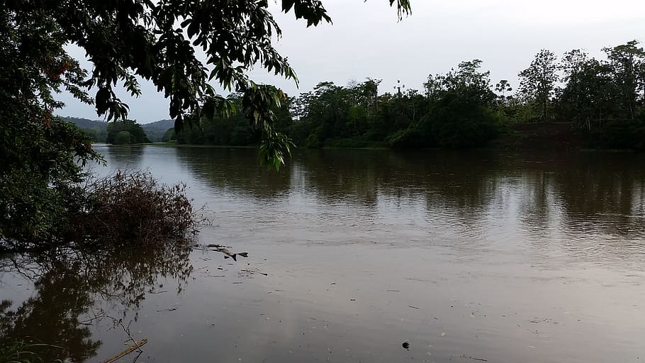 costa rica, san carlos, river