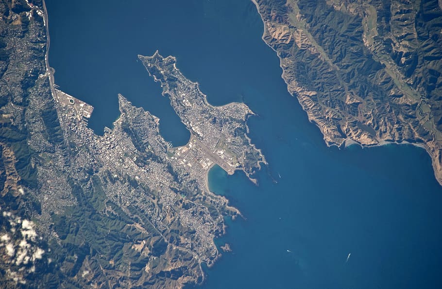 Wellington, Nový, zélandu, satelitní snímek, Wellington, Nový Zéland, fotky, obraz, Nový Zéland, veřejná doména, voda, Příroda