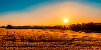 silueta fotografie, hnědý, švýcarsko, panoráma, pole, zemědělství, hospodařit, svítání, západ slunce, les, stromy