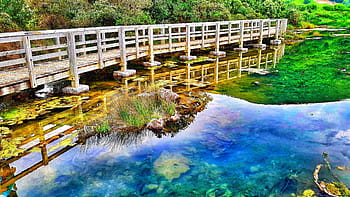 agua, puente, naturaleza, paisaje