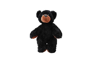 Brun, bære, plys, legetøj, Bamse, dyr, nuttet, isolerede, fluffy, dukke, barndom