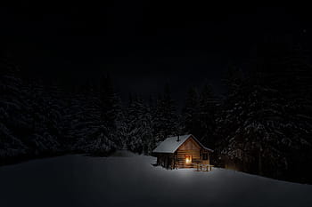 Casa, illustrazione degli alberi, cabina, inverno, la neve, notte, freddo