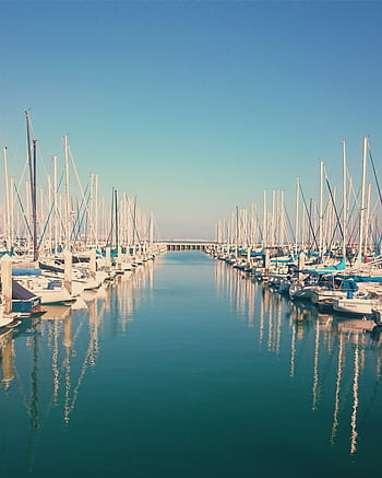 parked, power boats, body, water, white, power, boats, sailboats, boating, marina, harbor