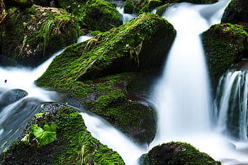 časosběrné fotografie, vodopády, zátoka, padá, tok, tekoucí, les, zelená, krajina, mech, pohyb