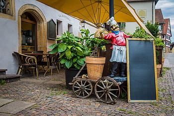 šedá, kovový vozík pot, vydržet, dřevěný, prkno, během dne, restaurace, jíst, Jídelní lístek, pouliční kavárna, bottega