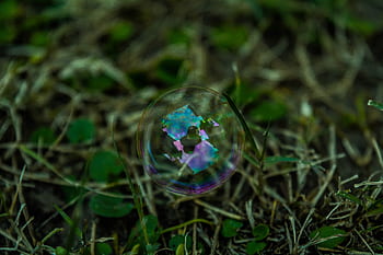 bubbles, water, reflection, green, grass, nature