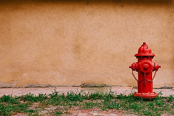 red, water hydrant, concrete, wall, daytime, fire, hydrant, near, grass, fire hydrant, outdoors