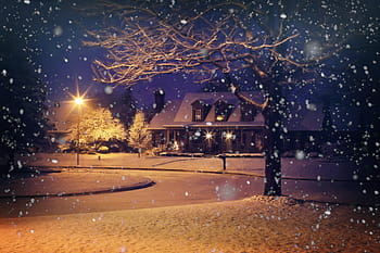 brown, bare, tree, house painting, midnight snow, night snow, snowy, winter, house, home, night