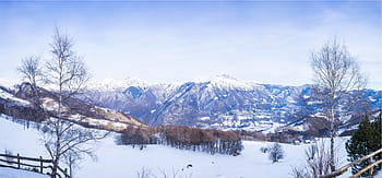 산 분노보기, 눈, 덮은, 나무, 산, 낮, 경치, 산들, 자연, 겨울, 감기