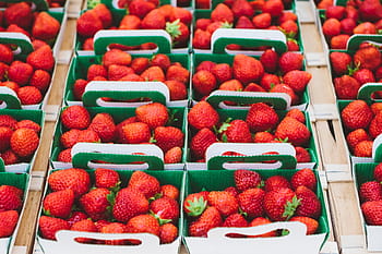 strawberry fruits, baskets, bunch, strawberries, boxes, strawberry, harvest, market, fresh, fruit, food