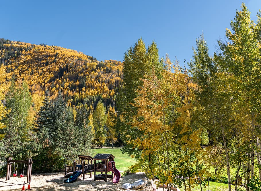 ford park, playground, vail, colorado, foliage, nature, autumn, landscape, mountains, usa, fall