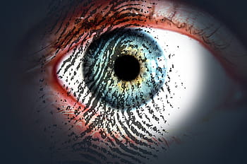 closeup, fingerprint, eye iris, eye pupil, eye cornea, close up, view, human, right, eye, eye-print check