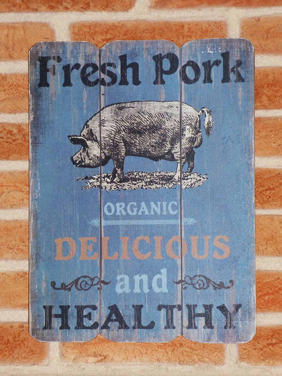 Poster, Pork, Meat, Vintage, Propaganda, pork meat, typography, butchery, text, one animal, fish