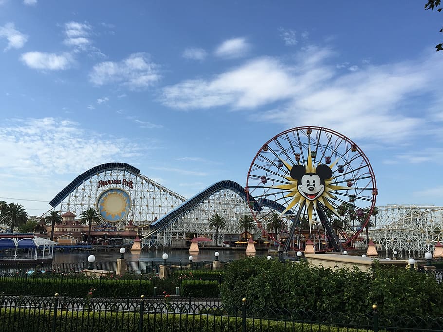 camera app, disney, ferris wheel
