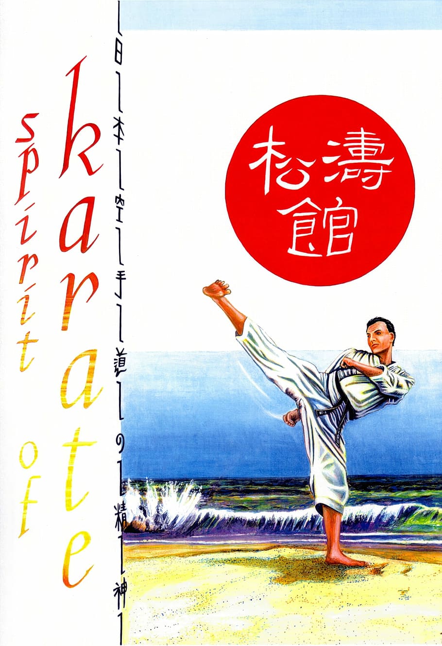 karate figher, high, kick, Karate, high kick, artwork, fighter, martial arts, poster, public domain, people