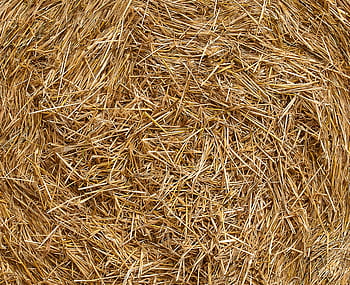straw, agriculture, background, hay, harvested, rural
